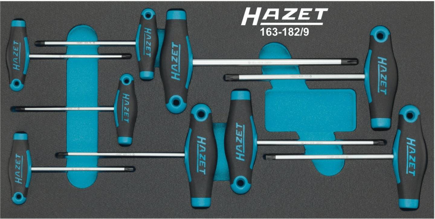 Cacciaviti Hazet 163-182/9